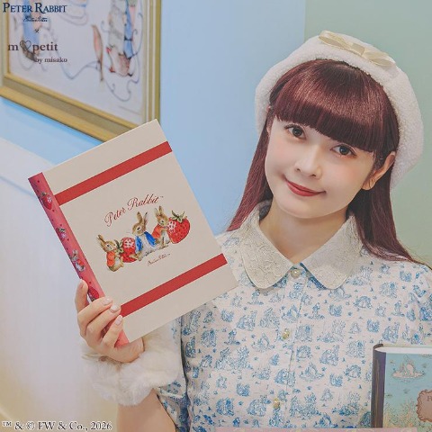 収納ボックス（本型）